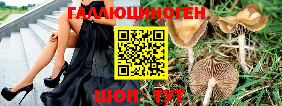 Вейп ТГК  Амфетамин   Нерюнгри  ЭКСТАЗИ  Мефедрон   Гашиш  Кокаин  МАРИХУАНА  КЕТАМИН  МЕФ   Альфа ПВП СК кристаллы  ГАШИШ 