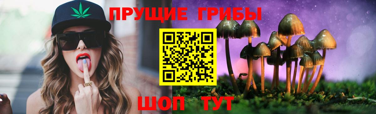 Нерюнгри  наркошоп  Вход с VPN  Галлюциногенные грибы GOLDEN TEACHER 