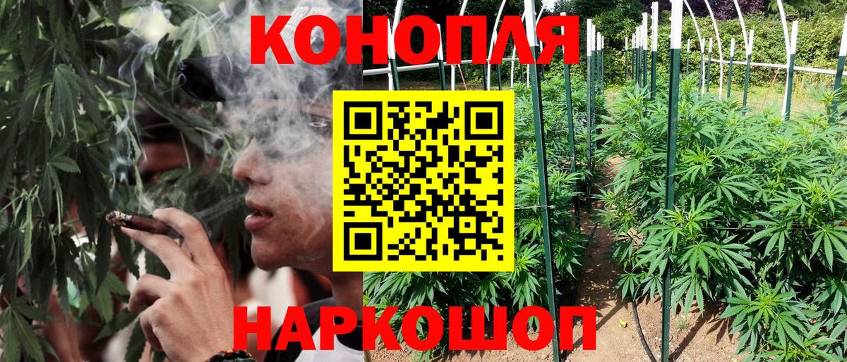 Шишки марихуана THC 21% Нерюнгри